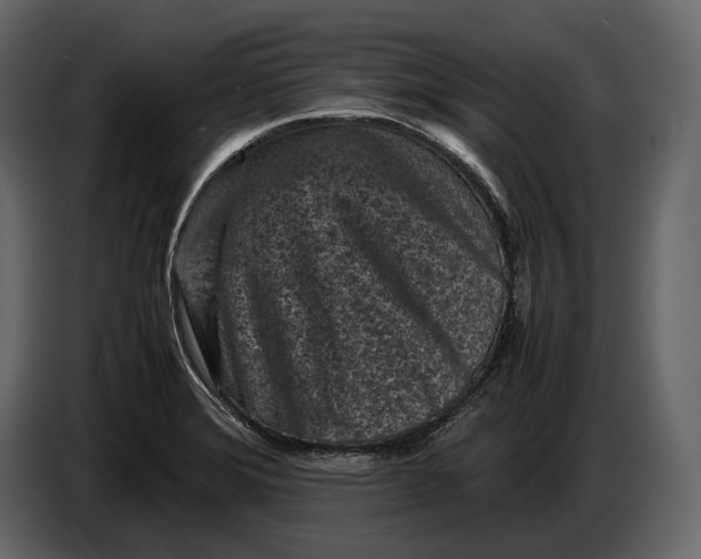 X0000086961372200705071327