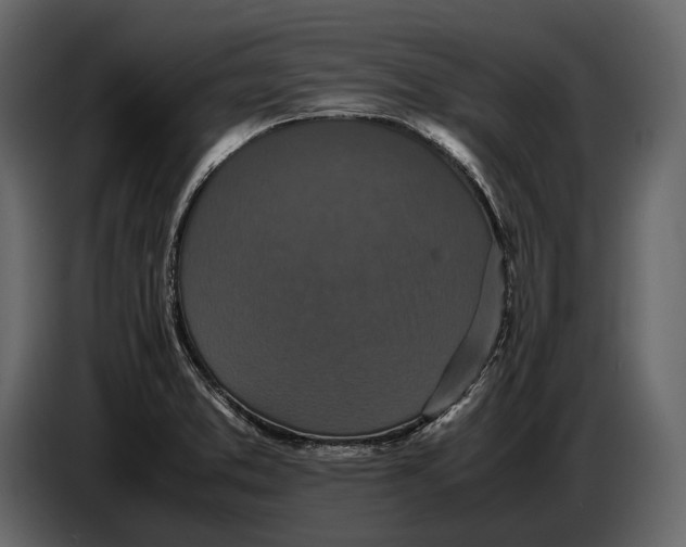 X0000086961373200705071327