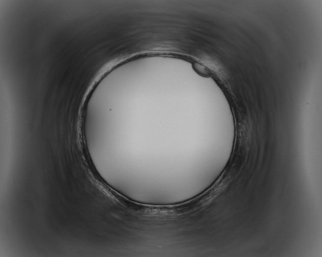 X0000086961374200705071327