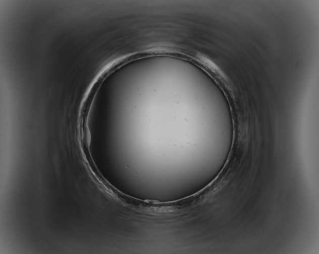X0000086961376200705071327