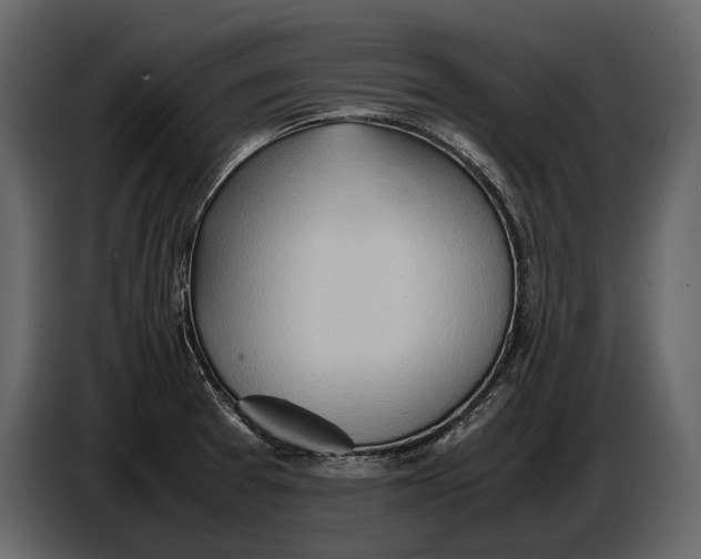 X0000086961377200705071327