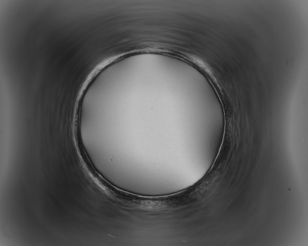 X0000086961379200705071327