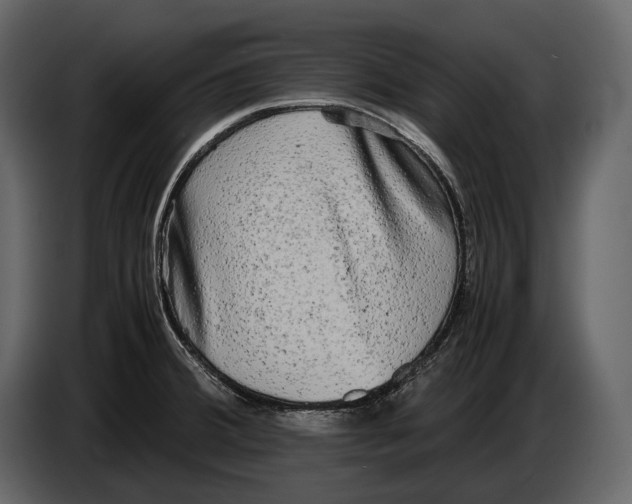 X0000086961380200705071327