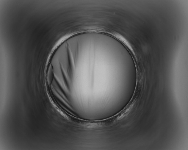 X0000086961381200705071327