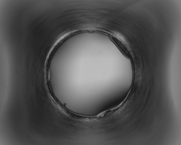X0000086961384200705071327
