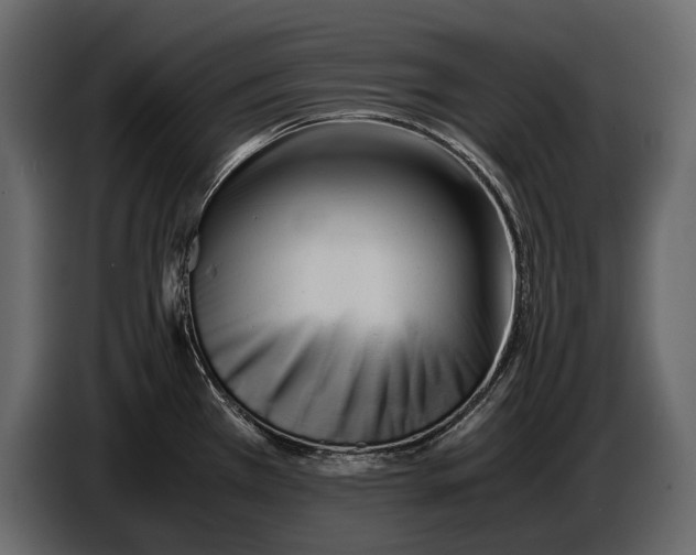 X0000086961385200705071327