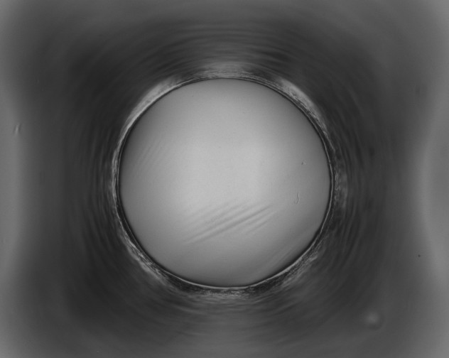 X0000086961386200705071327