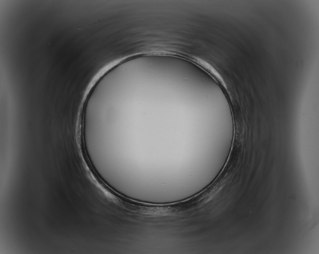 X0000086961387200705071327