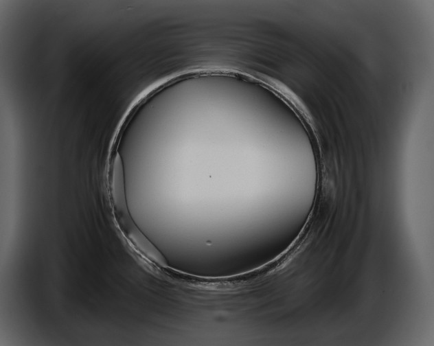 X0000086961388200705071327