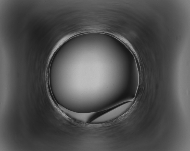 X0000086961389200705071327