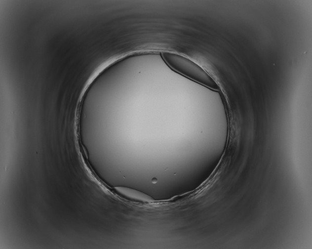 X0000086961390200705071327