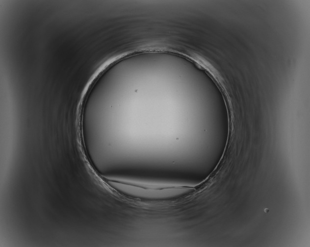 X0000086961392200705071327