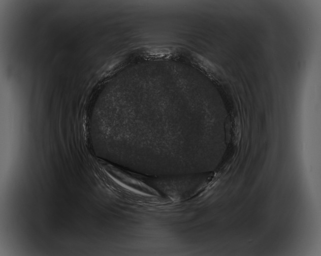 X0000086961394200705071326