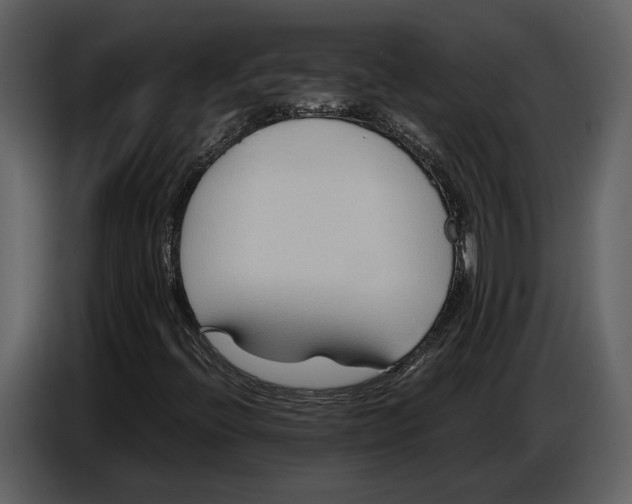 X0000086961396200705071326