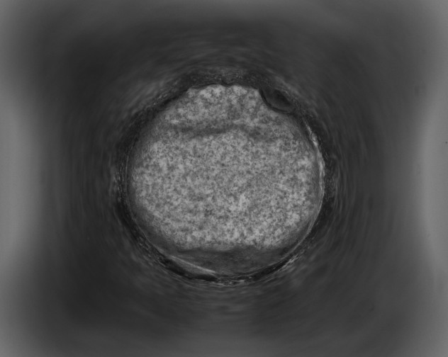 X0000086961397200705071326