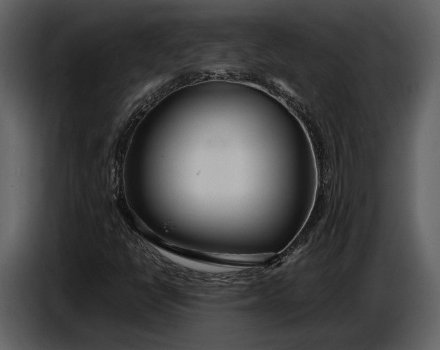 X0000086961398200705071326