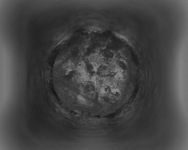 X0000086961399200705071326
