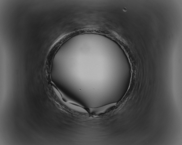 X0000086961400200705071326