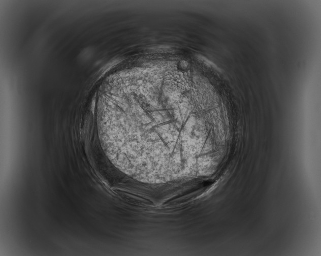 X0000086961401200705071326