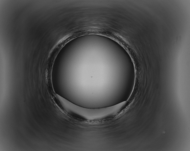 X0000086961402200705071326