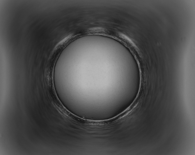 X0000086961403200705071326