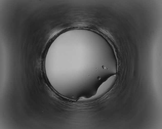 X0000086961404200705071326