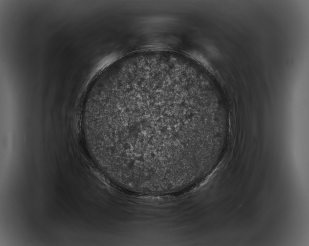 X0000086961405200705071326