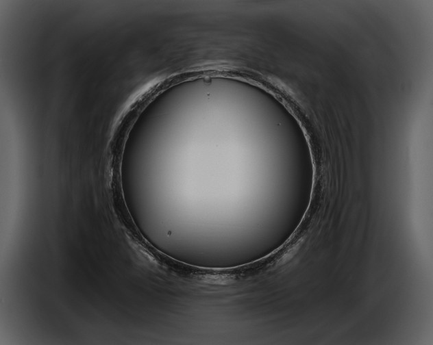 X0000086961406200705071326