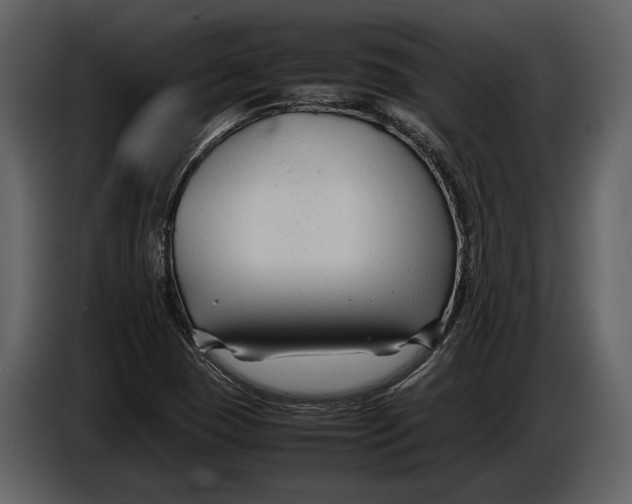 X0000086961409200705071326