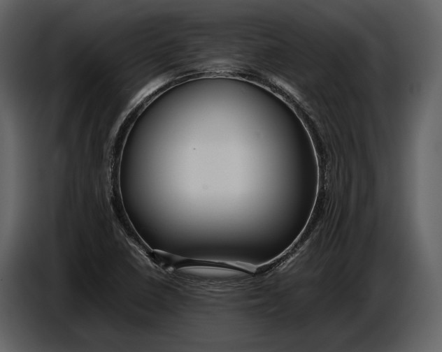 X0000086961410200705071327