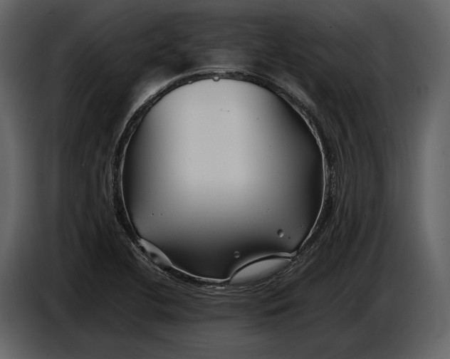 X0000086961412200705071327