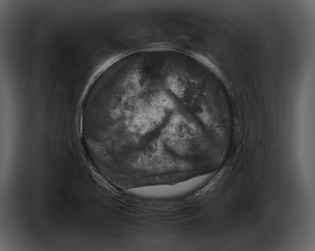 X0000086961413200705071327