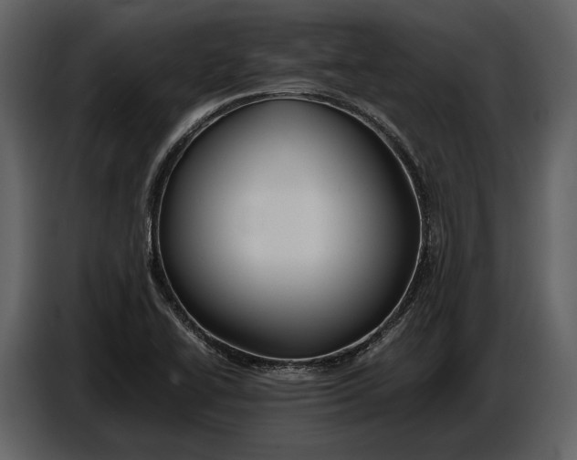 X0000086961414200705071327