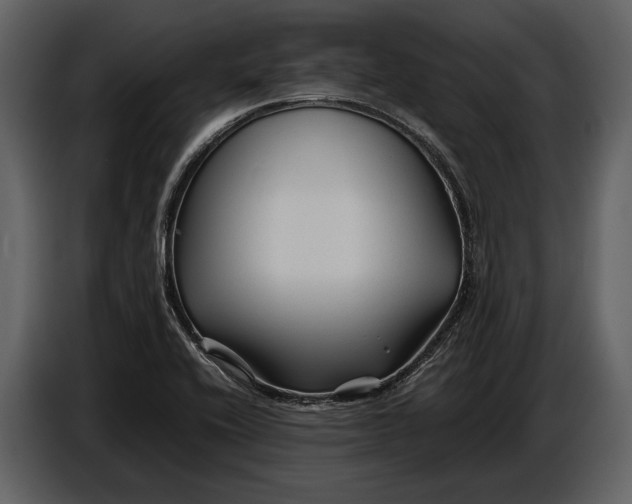 X0000086961416200705071327
