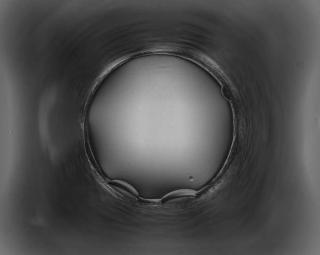 X0000086961417200705071327
