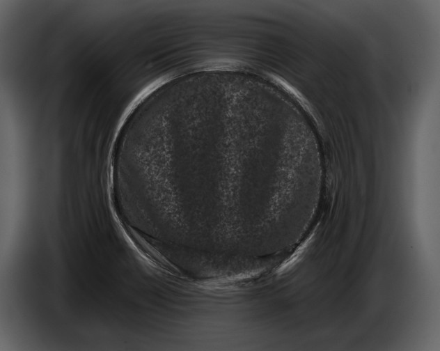 X0000086961418200705071327