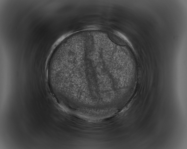 X0000086961419200705071327