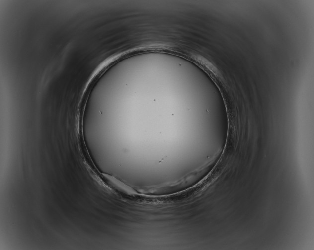X0000086961420200705071327