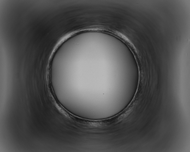 X0000086961421200705071327
