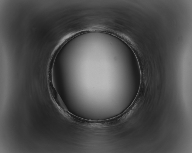 X0000086961422200705071327
