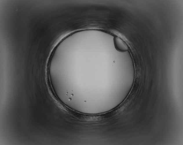 X0000086961423200705071327