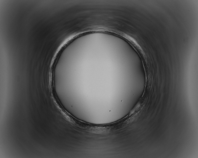 X0000086961424200705071327
