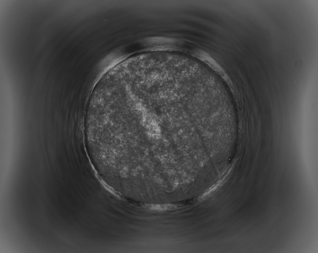 X0000086961425200705071327