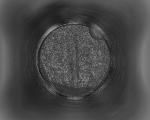 X0000086961427200705071327