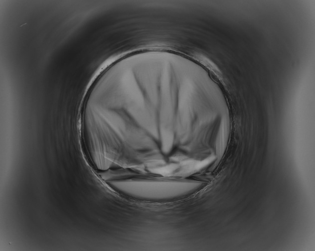 X0000086961428200705071327