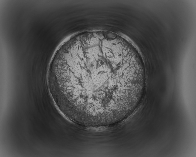 X0000086961429200705071327