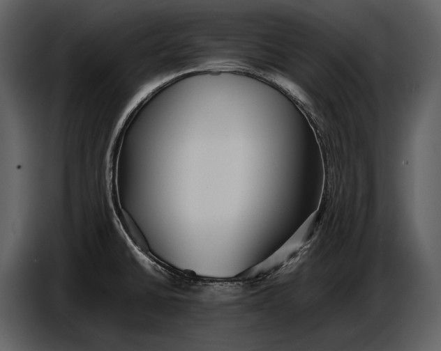 X0000086961430200705071327