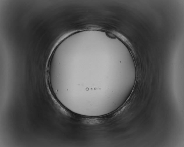 X0000086961431200705071327