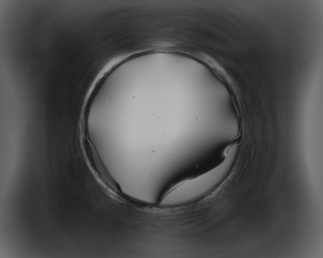 X0000086961432200705071327