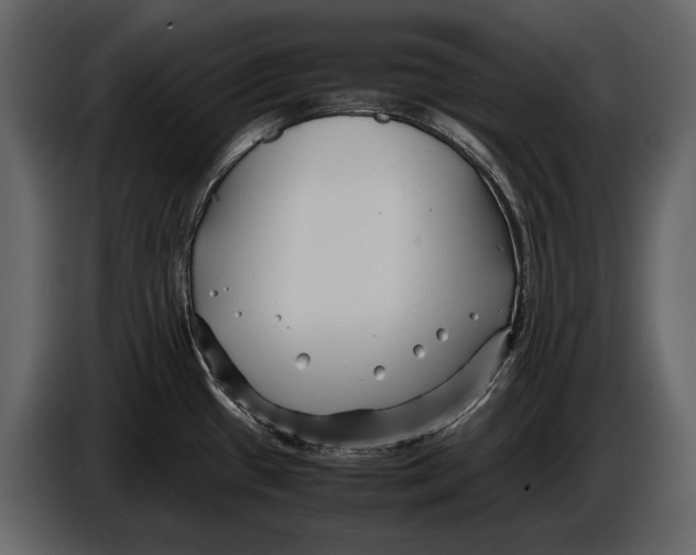 X0000086961433200705071327